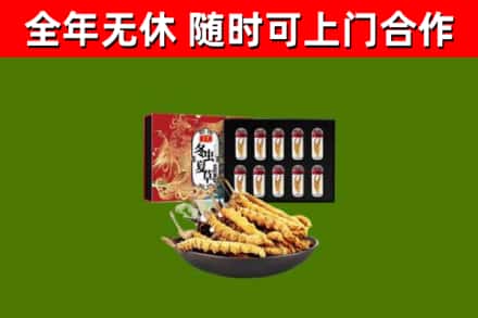 泰宁县回收冬虫夏草价格